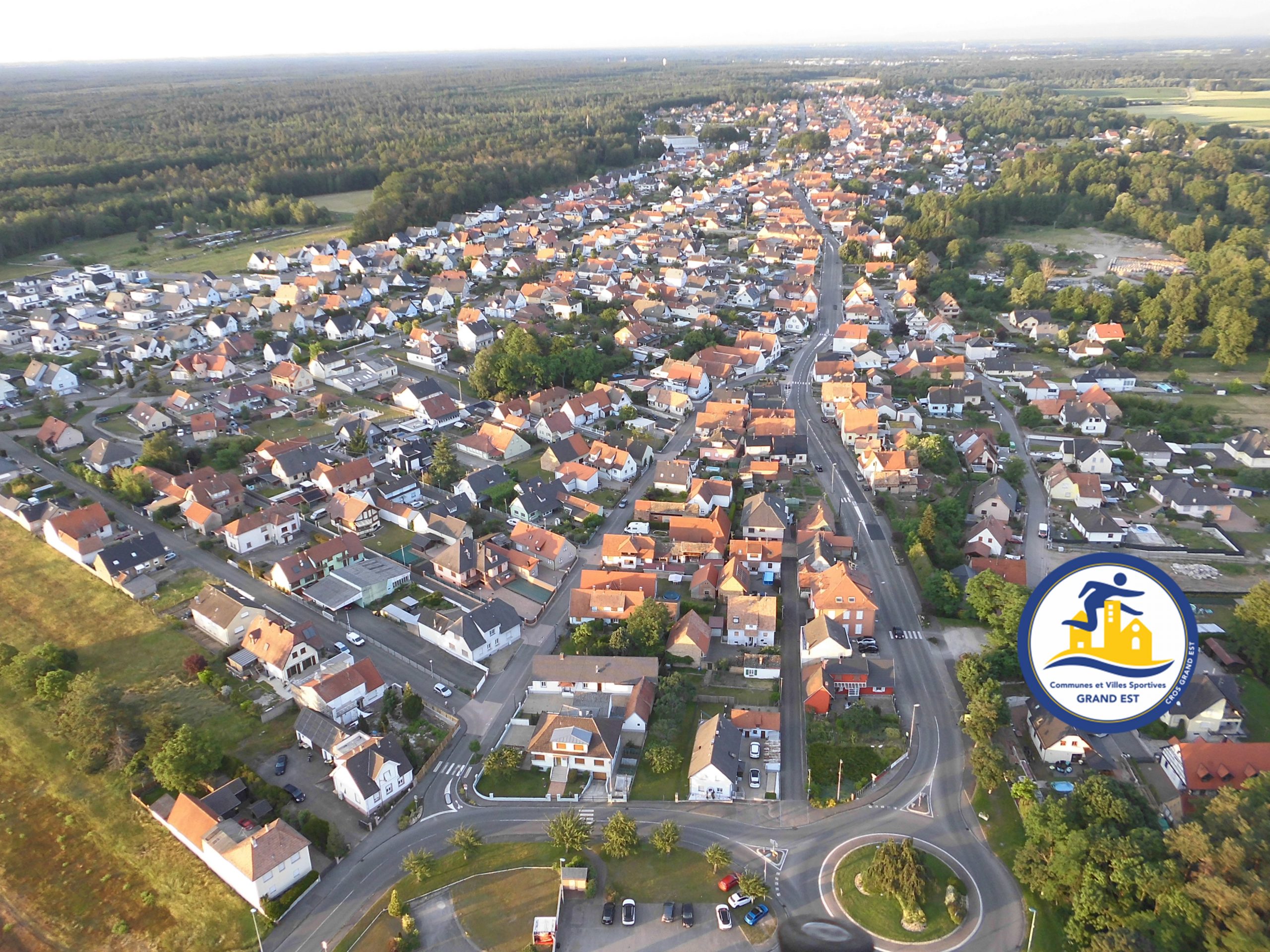 ✨🎄 VŒUX 2026 ✨🎄